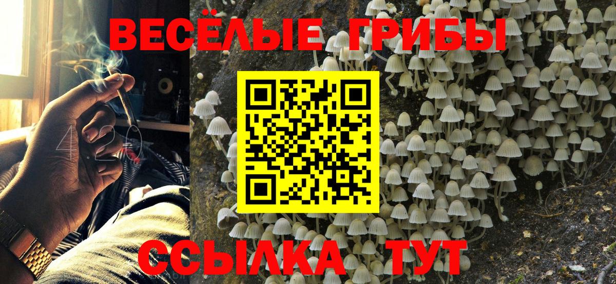 Псилоцибиновые грибы мицелий  Вход с VPN  Северск 